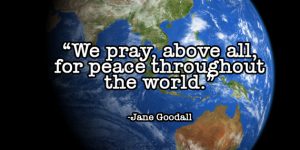 o-PEACE-EARTH-facebook-300x150 o-PEACE-EARTH-facebook-300x150